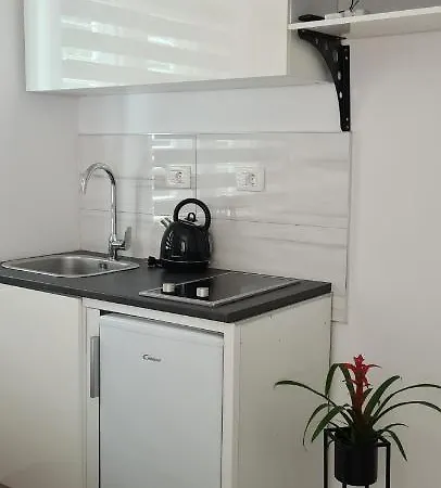 Studio Apartman Grzetic 아파트 *